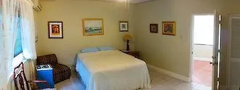 Chester Avenue Guest House Kingston 3*,