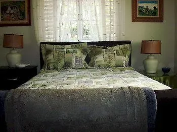 Chester Avenue Guest House Kingston 3*,  Jamaica