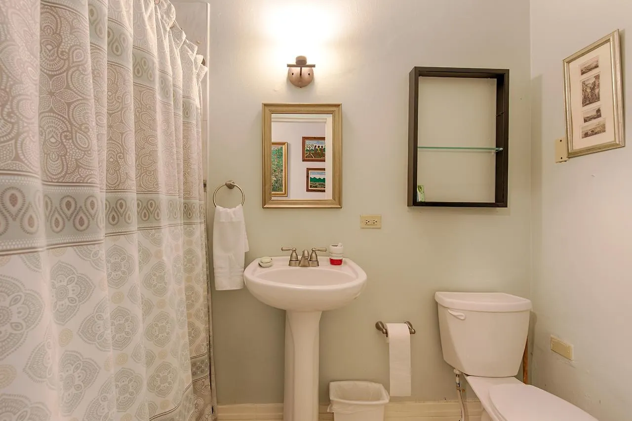 Chester Avenue Guest House Kingston