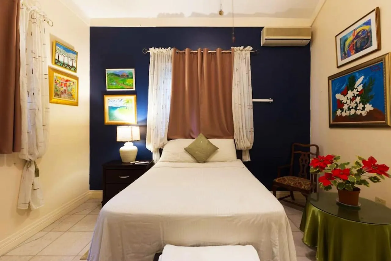 Chester Avenue Guest House Kingston
